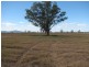 Blue Vale Road, Gunnedah NSW 2380