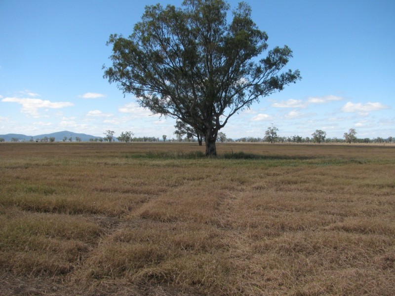 Blue Vale Road, Gunnedah NSW 2380