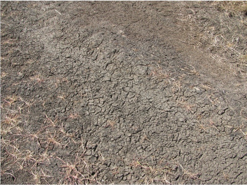 Blue Vale Road, Gunnedah NSW 2380