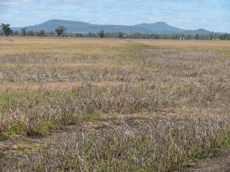 Blue Vale Road, Gunnedah NSW 2380