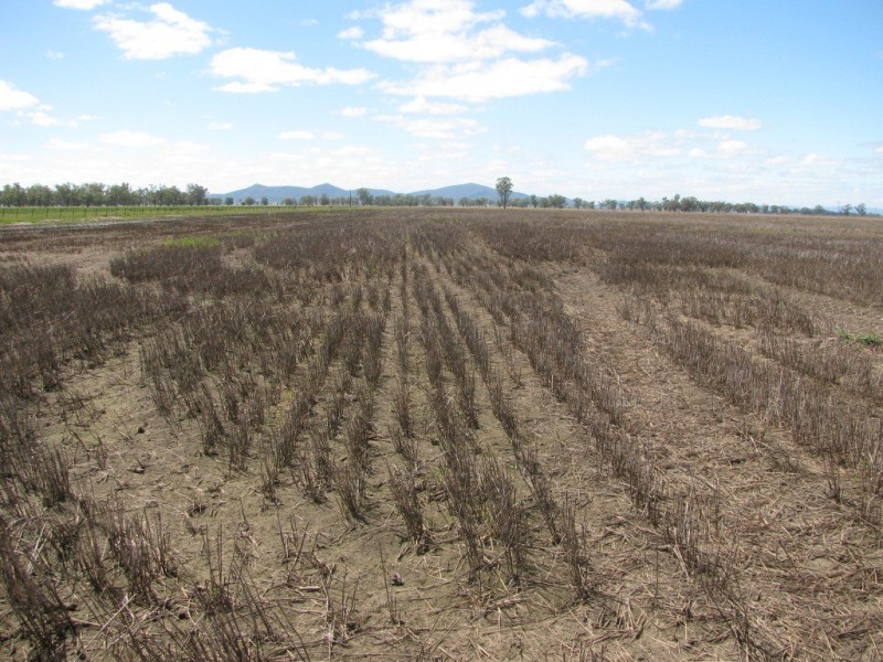 Blue Vale Road, Gunnedah NSW 2380