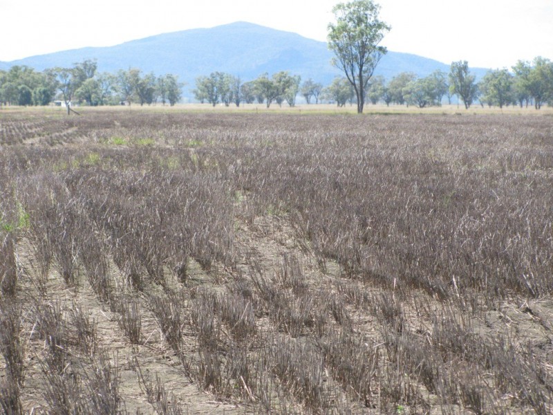 Blue Vale Road, Gunnedah NSW 2380