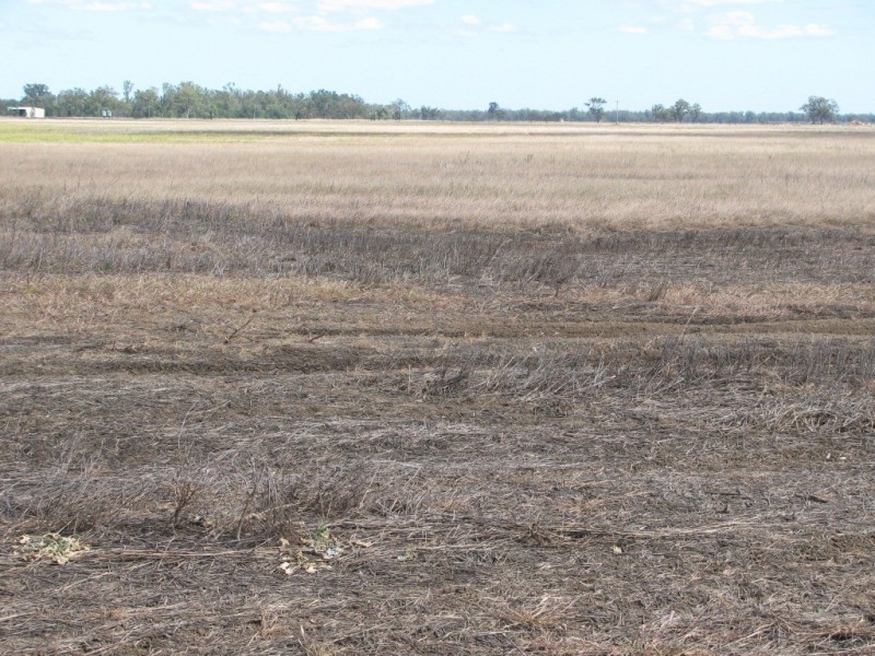 Blue Vale Road, Gunnedah NSW 2380