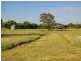 Inverell NSW 2360