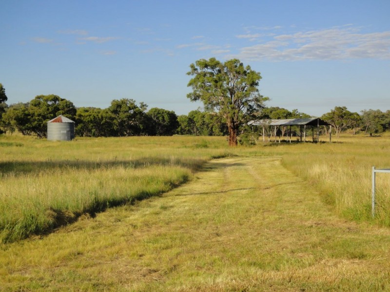 Inverell NSW 2360