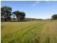 Inverell NSW 2360