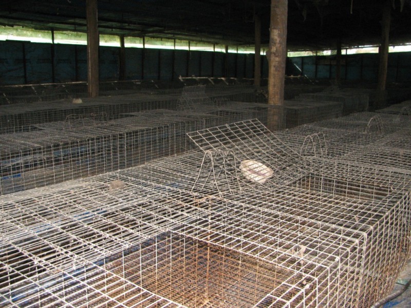 1573 Westport Road, Narrabri NSW 2390