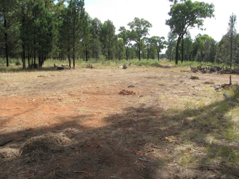 1573 Westport Road, Narrabri NSW 2390