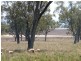 1452 Merriwa Road, Willow Tree NSW 2339