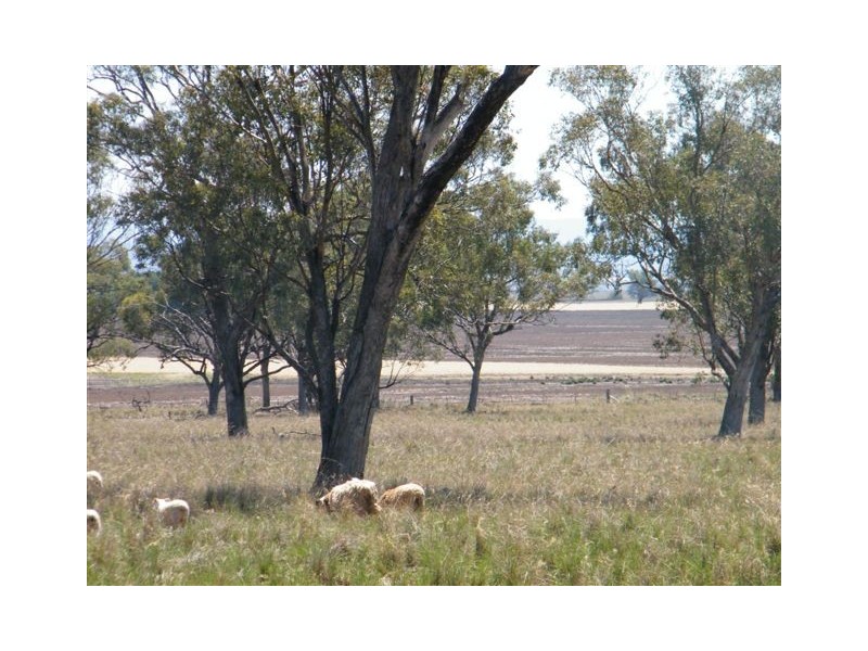 1452 Merriwa Road, Willow Tree NSW 2339