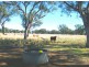 1452 Merriwa Road, Willow Tree NSW 2339