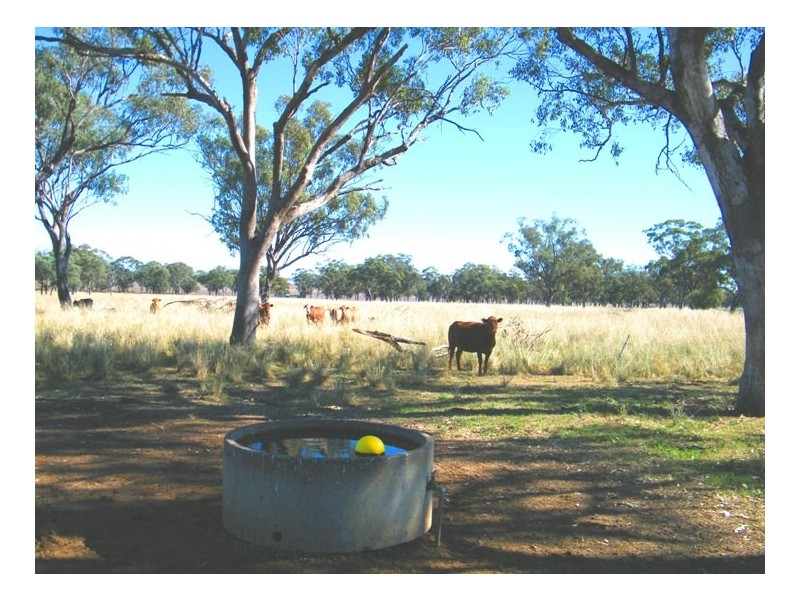 1452 Merriwa Road, Willow Tree NSW 2339