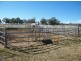 1452 Merriwa Road, Willow Tree NSW 2339