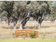 1452 Merriwa Road, Willow Tree NSW 2339