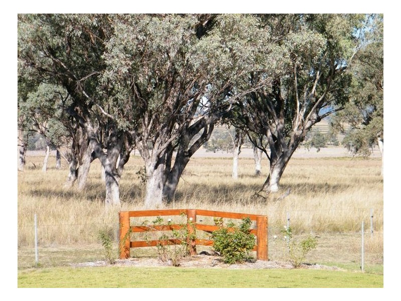 1452 Merriwa Road, Willow Tree NSW 2339