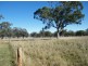 1452 Merriwa Road, Willow Tree NSW 2339