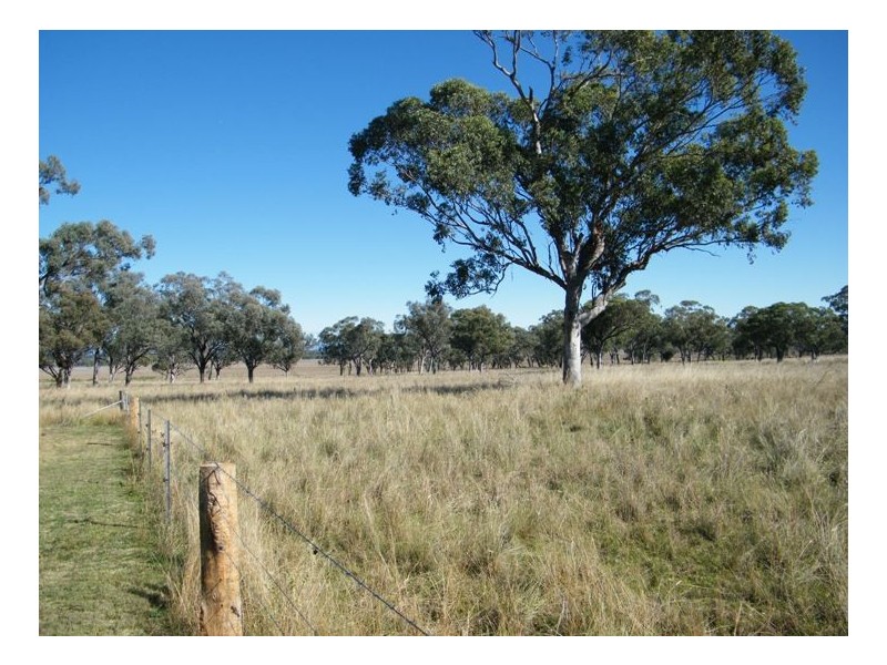 1452 Merriwa Road, Willow Tree NSW 2339