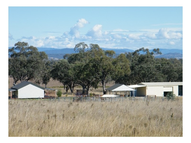 1452 Merriwa Road, Willow Tree NSW 2339