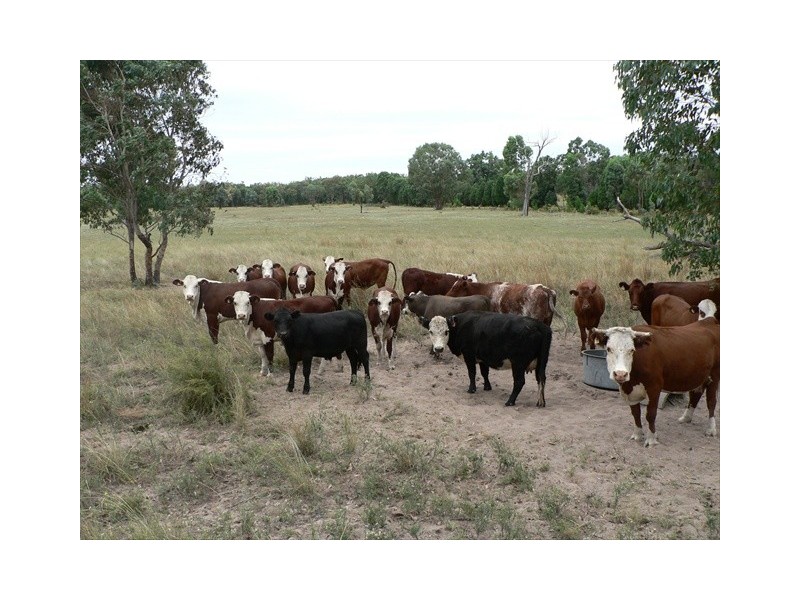 Coonabarabran NSW 2357