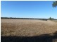 Binnaway NSW 2395