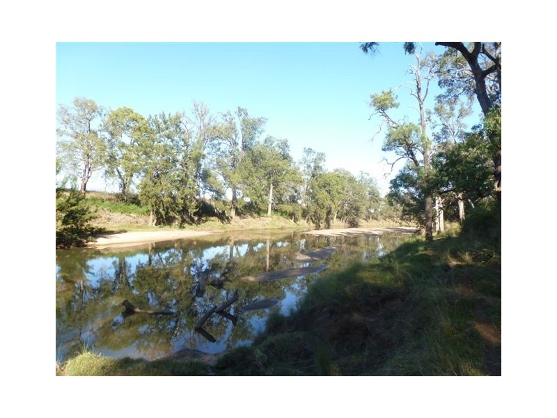 Binnaway NSW 2395
