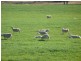 Binnaway NSW 2395
