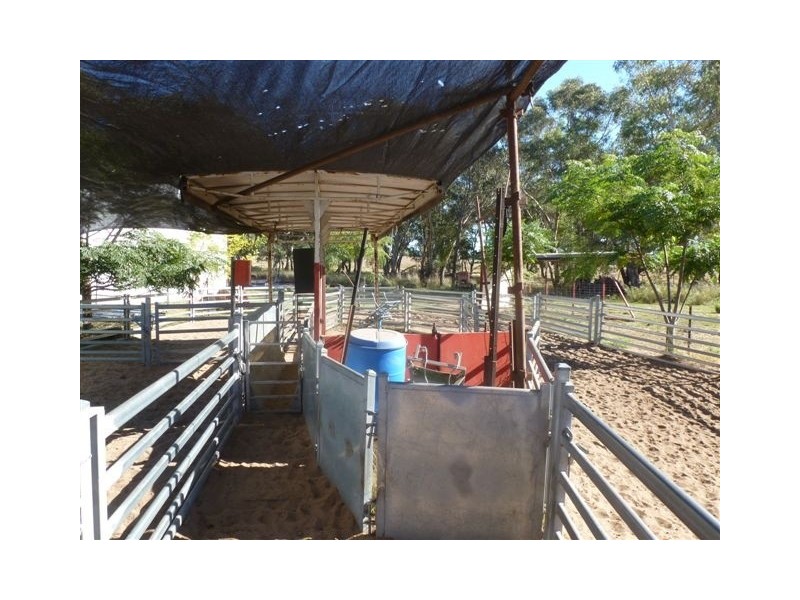 Binnaway NSW 2395
