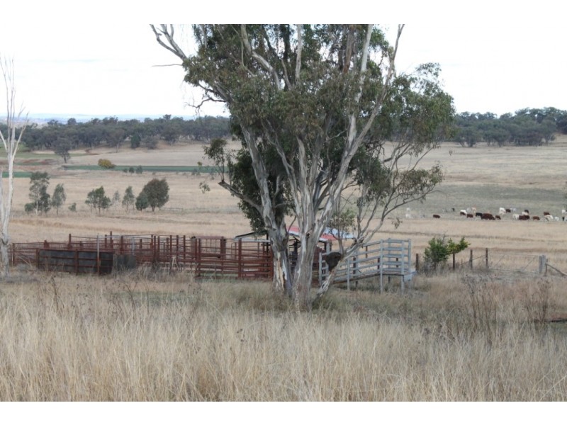 WIMBLEDON Turners Lane, Inverell NSW 2360