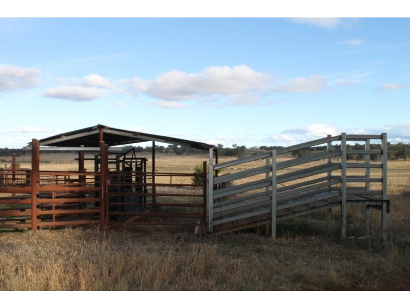 WIMBLEDON Turners Lane, Inverell NSW 2360