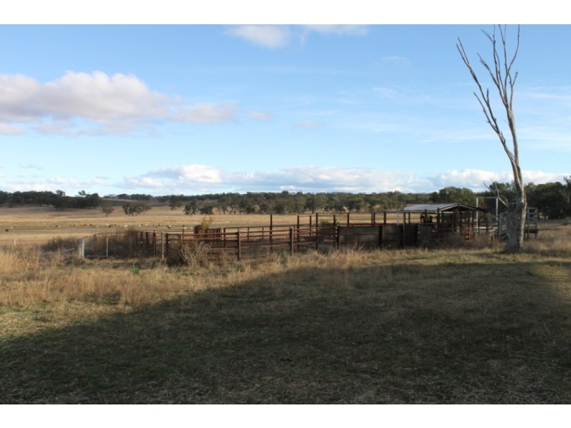 WIMBLEDON Turners Lane, Inverell NSW 2360