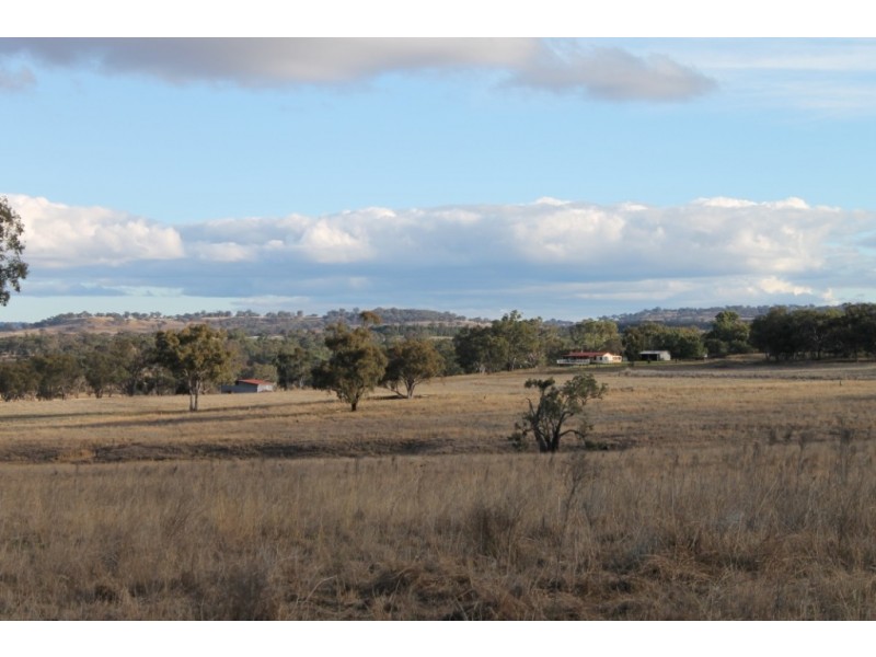 WIMBLEDON Turners Lane, Inverell NSW 2360