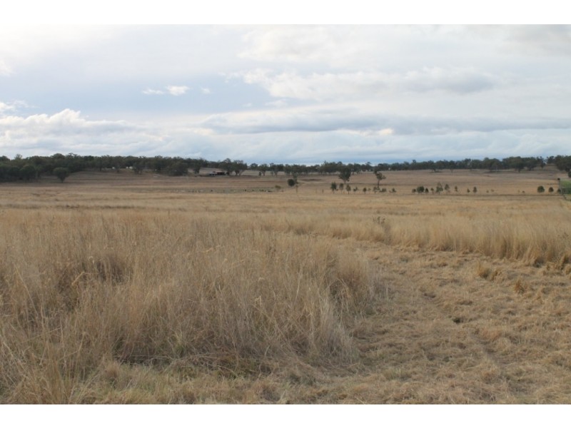 WIMBLEDON Turners Lane, Inverell NSW 2360