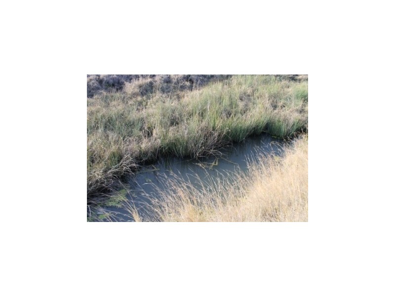 WIMBLEDON Turners Lane, Inverell NSW 2360