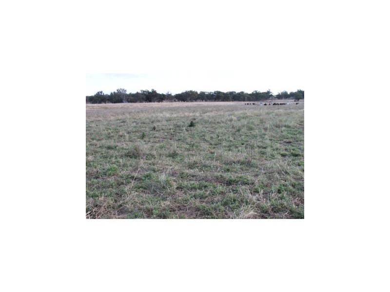 WIMBLEDON Turners Lane, Inverell NSW 2360