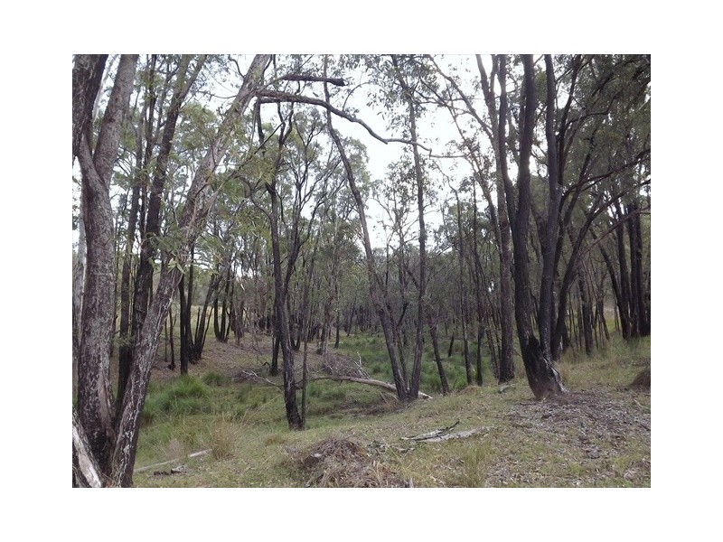 Coonabarabran NSW 2357