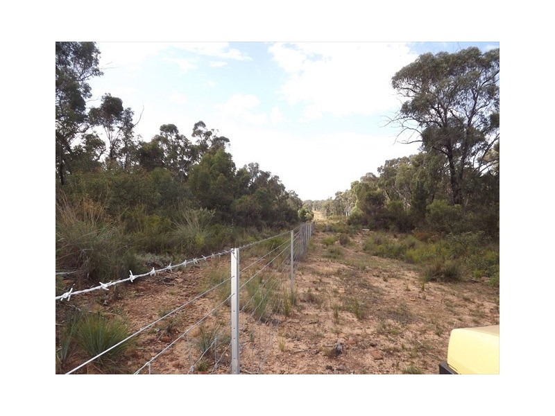 Coonabarabran NSW 2357