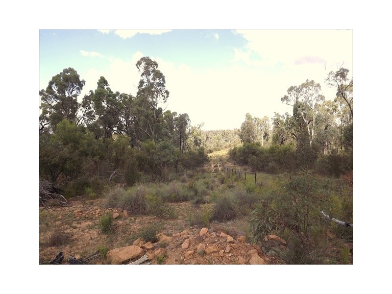 Coonabarabran NSW 2357