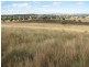 1466 Delwood Road, Boggabri NSW 2382