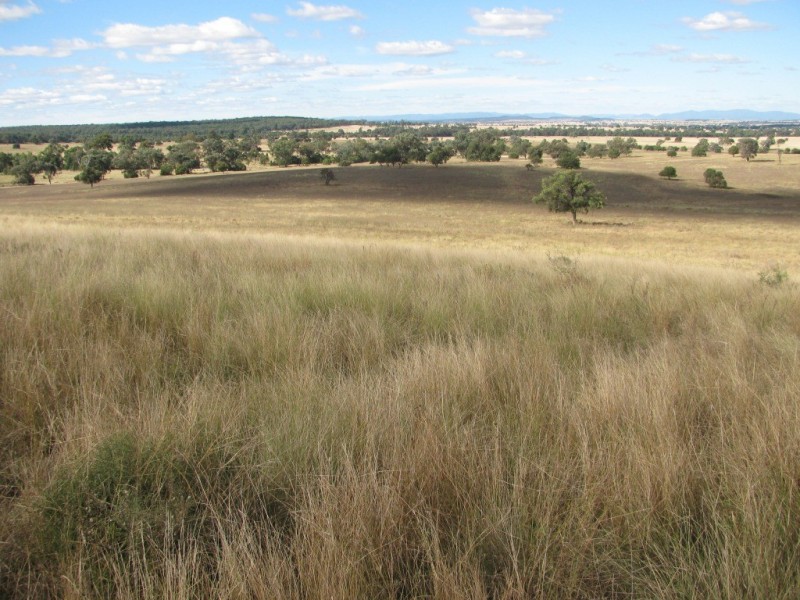 1466 Delwood Road, Boggabri NSW 2382