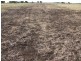 1466 Delwood Road, Boggabri NSW 2382