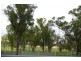 1466 Delwood Road, Boggabri NSW 2382