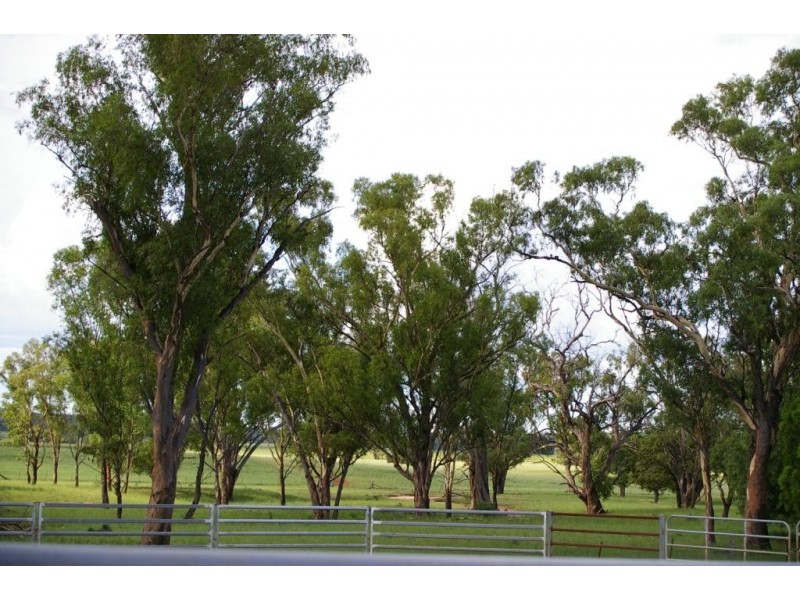 1466 Delwood Road, Boggabri NSW 2382