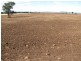 1466 Delwood Road, Boggabri NSW 2382