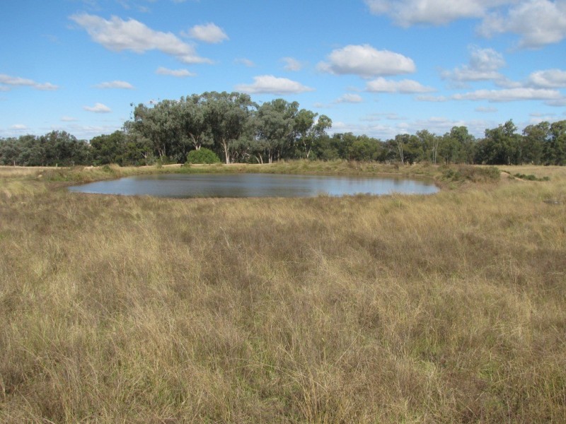 1466 Delwood Road, Boggabri NSW 2382