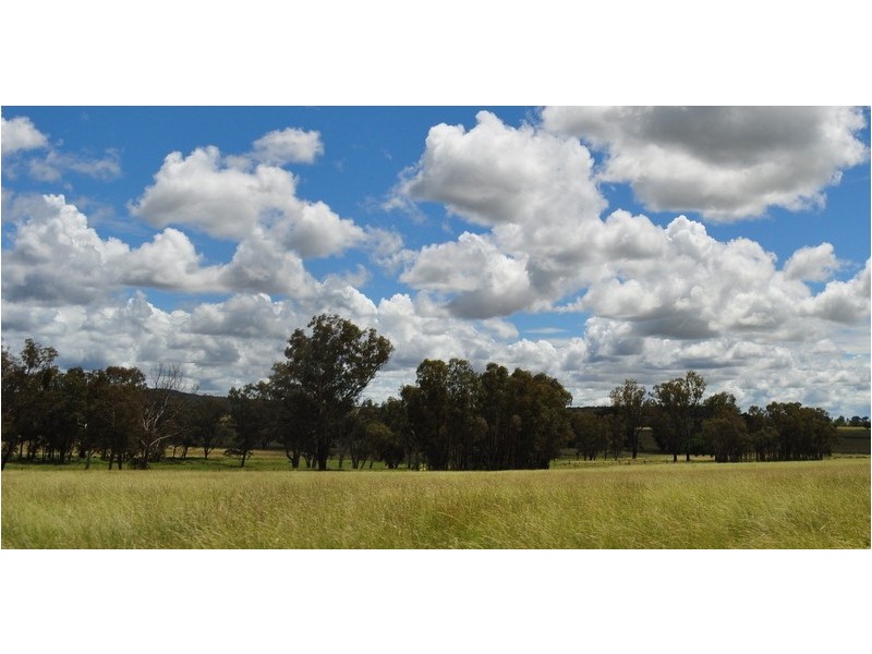 1466 Delwood Road, Boggabri NSW 2382