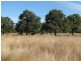 1466 Delwood Road, Boggabri NSW 2382