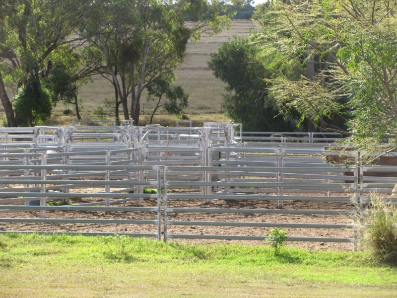 1466 Delwood Road, Boggabri NSW 2382