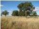 1466 Delwood Road, Boggabri NSW 2382