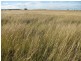 1466 Delwood Road, Boggabri NSW 2382