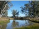 RANNOCH PARK Piallaway Rd, Currabubula NSW 2342